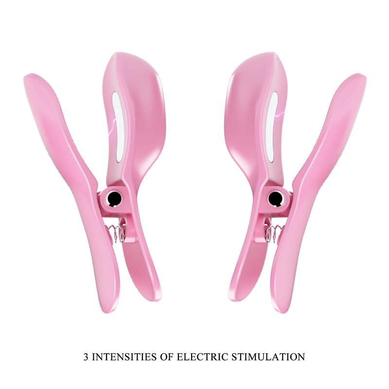 Surprise Box Huevo Vibrador y Pinzas para Pezones con Electro Estimulacion Rosa